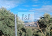Non-developable land for sale on España, Malpartida de Plasencia, ref: TR344393 photo