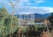 Non-developable land for sale on España, Malpartida de Plasencia, ref: TR344393 photo