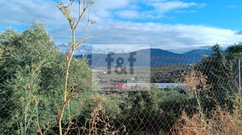 Palència - Palencia - 33200m2