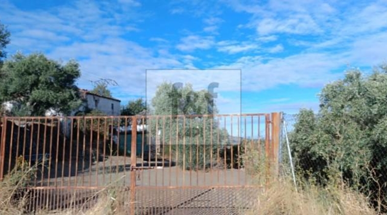 Palència - Palencia - 33200m2