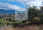 Non-developable land for sale on España, Malpartida de Plasencia, ref: TR344393 photo