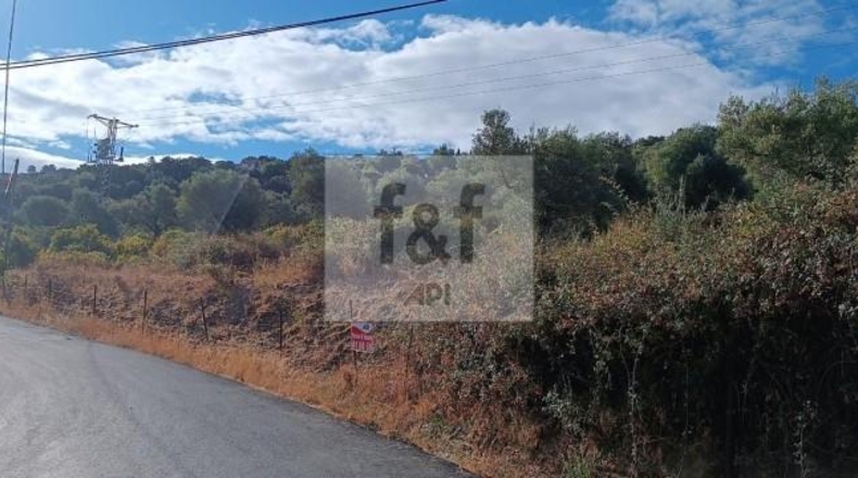 Palència - Palencia - 33200m2
