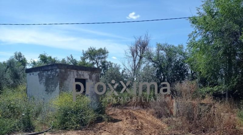 Seville - Alcalá de Guadaíra - 43188m2