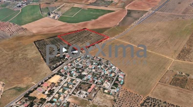Seville - Alcalá de Guadaíra - 43188m2