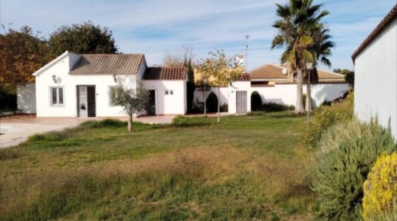 Córdoba - Lucena - 4185m2