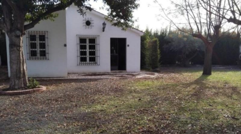 Córdoba - Lucena - 4185m2