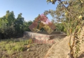 Country house with land for sale on España, Ronda, ref: TR144414 photo