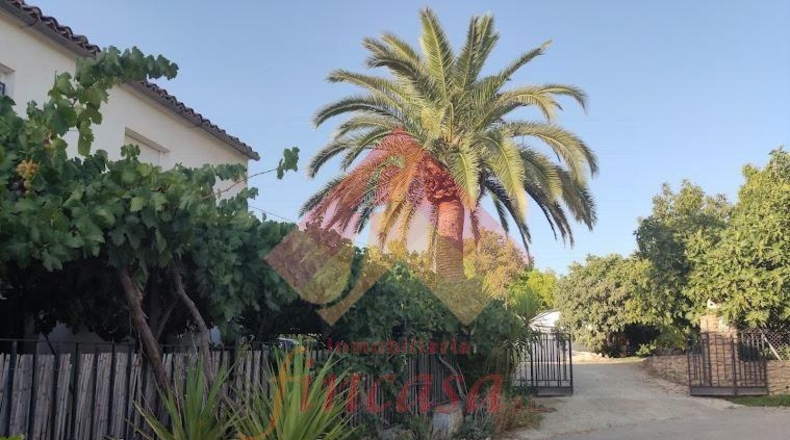 Málaga - Ronda - 25000m2