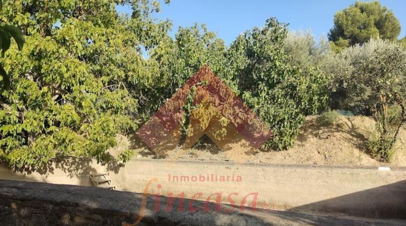 Málaga - Ronda - 25000m2