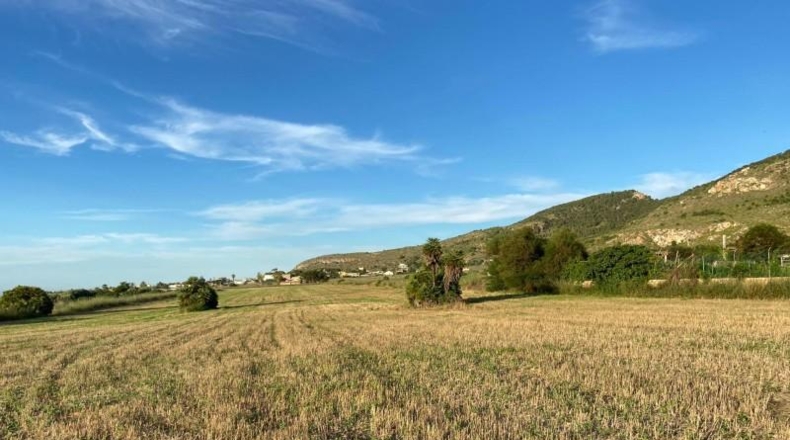 Murcia - Cartagena - 49170m2