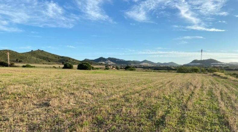Murcia - Cartagena - 49170m2