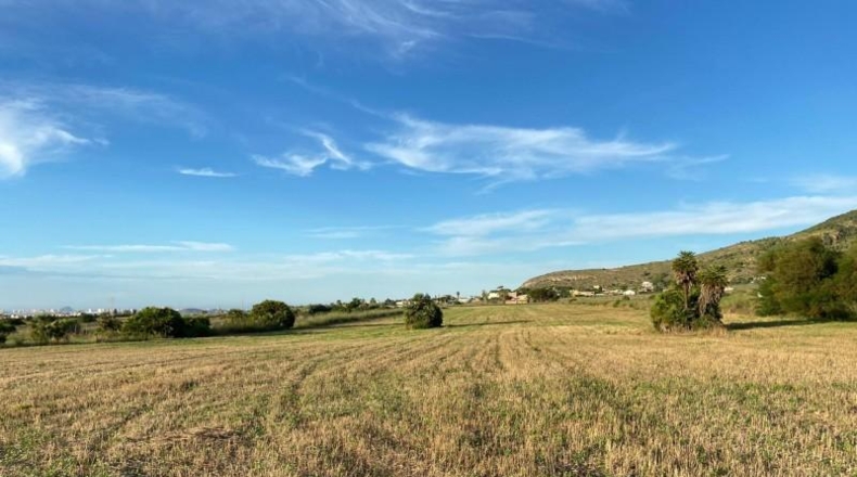 Murcia - Cartagena - 49170m2