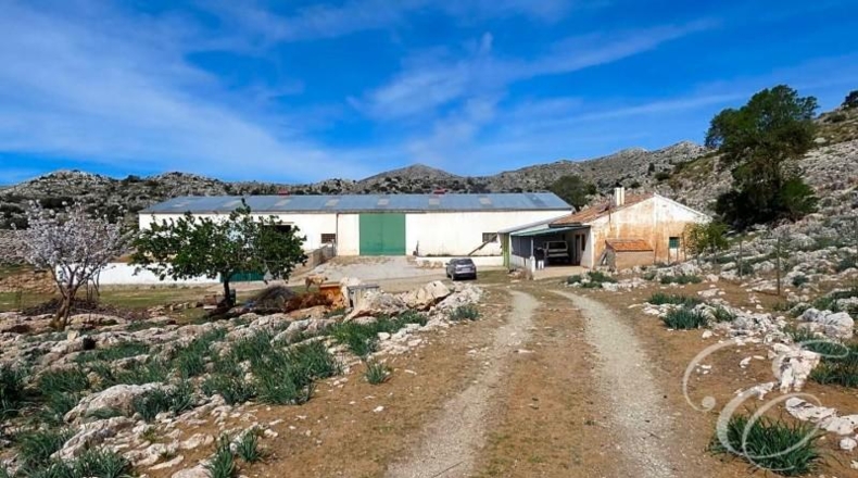 Granada - Zafarraya - 558000m2