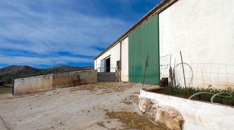 Granada - Zafarraya - 558000m2