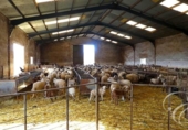 Casa de camp amb terreny en venda a la España, Zafarraya, ref.: TR144773 foto