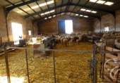 Casa de camp amb terreny en venda a la España, Zafarraya, ref.: TR144773 foto