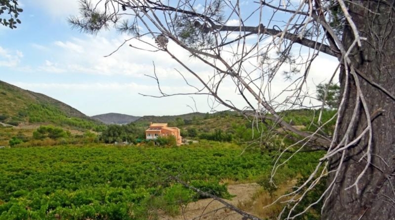 Alicante - Халон - 35891m2