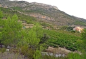 Finca rústica en venda a la España, Xaló, ref.: TR297467 foto