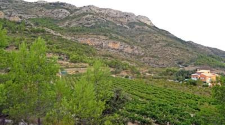 Alicante - Халон - 35891m2