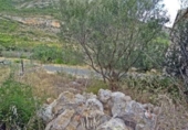 Finca rústica en venda a la España, Xaló, ref.: TR297467 foto