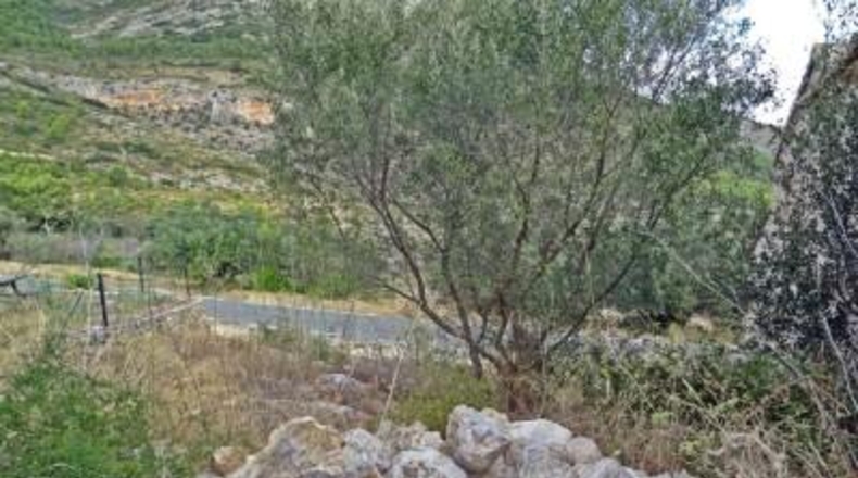 Alicante - Халон - 35891m2
