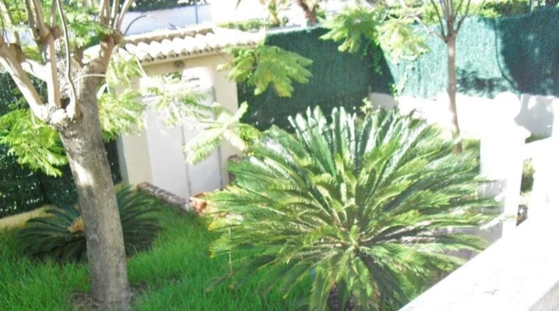 Valencia - Gandia - 320m2
