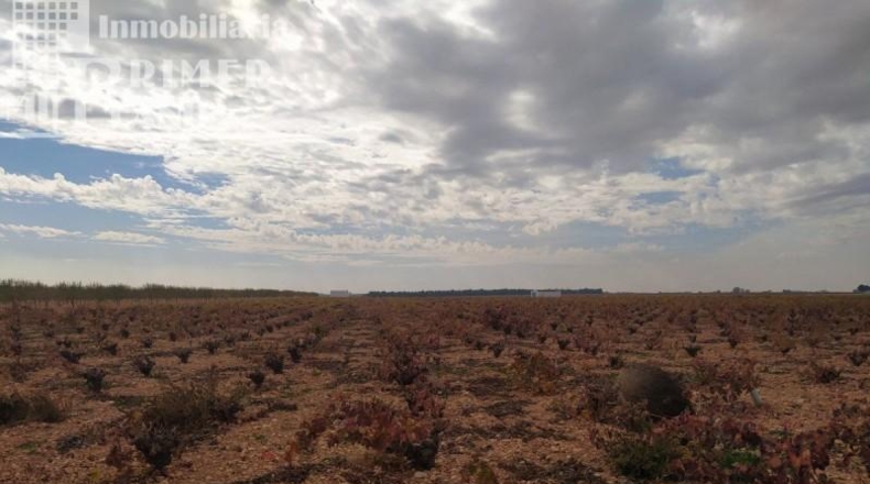 Ciudad Real - Tomelloso - 122802m2