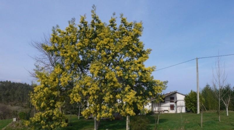 Cantàbria - San Vicente de la Barquera - 114919m2
