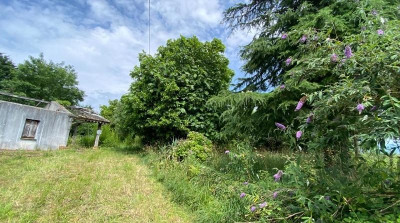 Cantàbria - San Vicente de la Barquera - 114919m2