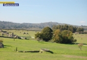 Xalet independent amb terreny en venda a la España, Valencia de Alcántara, ref.: TR134251 foto