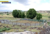 Xalet independent amb terreny en venda a la España, Valencia de Alcántara, ref.: TR134251 foto