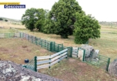 Xalet independent amb terreny en venda a la España, Valencia de Alcántara, ref.: TR134251 foto