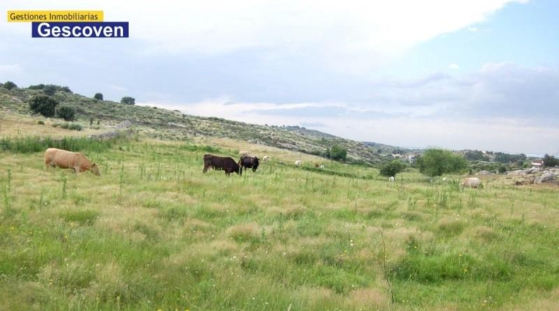 Cáceres - Valencia de Alcántara - 370000m2