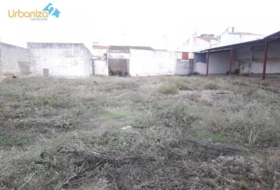 Оливенса 1600&nbsp;м²