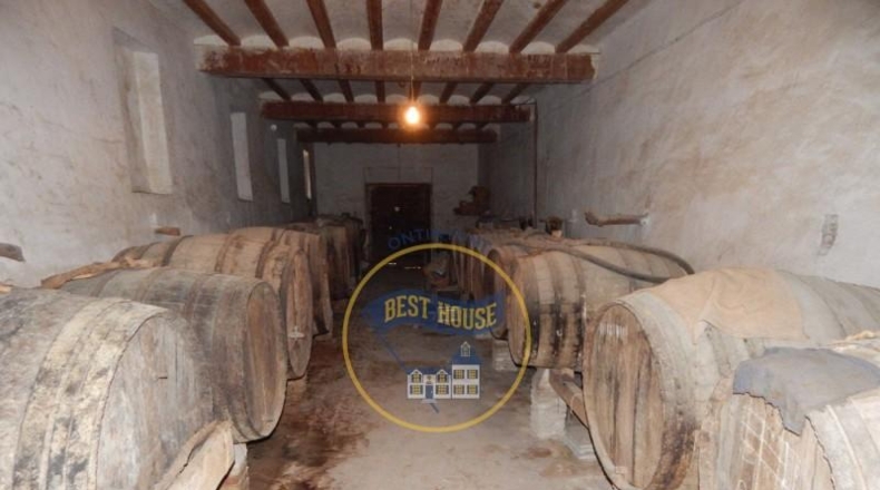 Valencia - Agullent - 20981m2