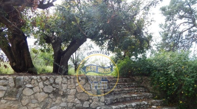 Valencia - Agullent - 20981m2