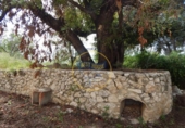 Xalet independent amb terreny en venda a la España, Agullent, ref.: TR134869 foto