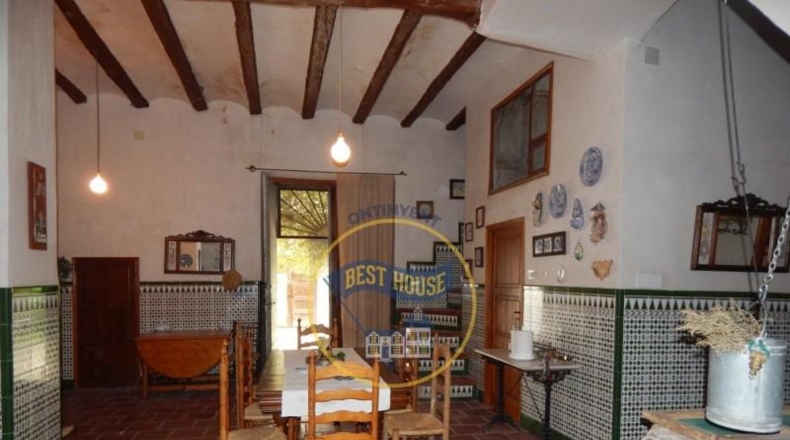 Valencia - Agullent - 20981m2