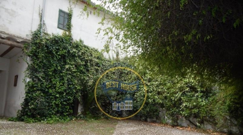 Valencia - Agullent - 20981m2