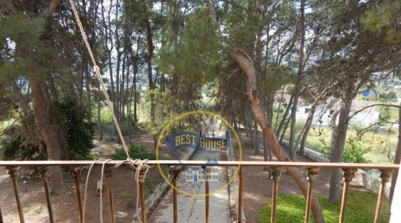 Valencia - Agullent - 20981m2