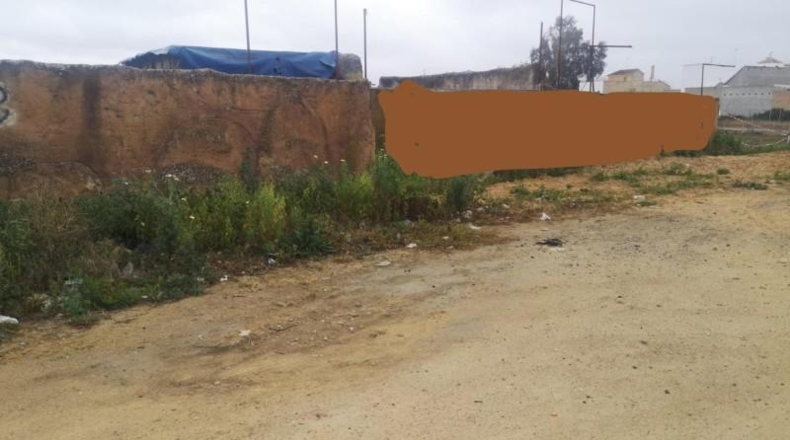 Seville - Los Palacios y Villafranca - 1700m2