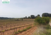 Chalet independiente con terreno en venta en la España, Renau, ref: TR139389 foto