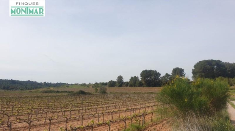 Tarragona - Renau - 200000m2
