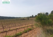 Chalet independiente con terreno en venta en la España, Renau, ref: TR139389 foto