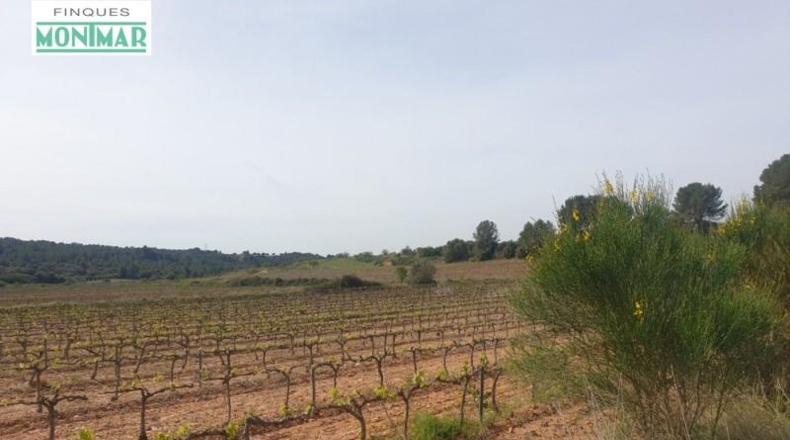 Tarragona - Renau - 200000m2