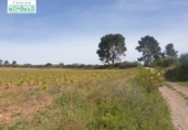 Chalet independiente con terreno en venta en la España, Renau, ref: TR139389 foto