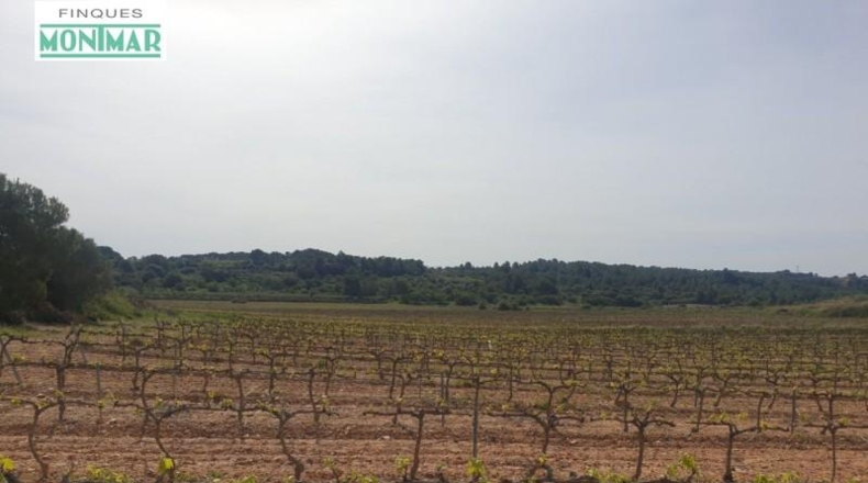 Tarragona - Renau - 200000m2