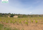 Chalet independiente con terreno en venta en la España, Renau, ref: TR139389 foto