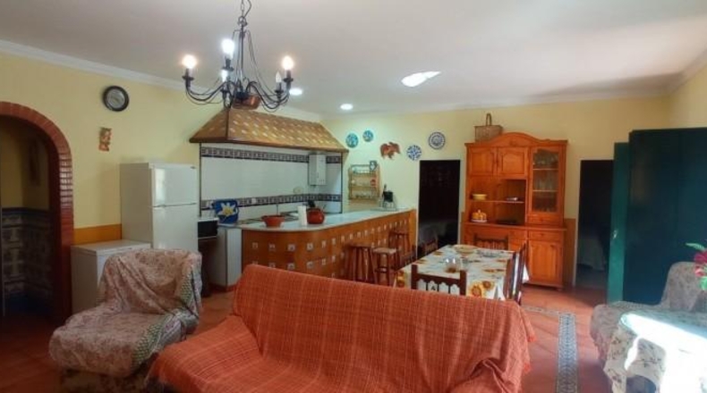 Cádiz - Ubrique - 8000m2