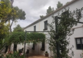 Detached villa with land for sale on España, Almansa, ref: TR141030 photo